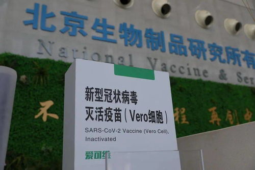 本土新增108例，防疫健康包與應對指南